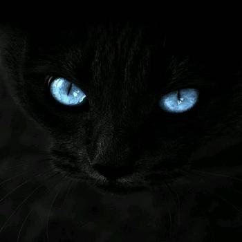  100 عکس پروفایل پسرانه خفن