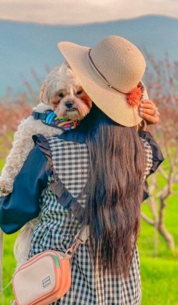  24 عکس دختر بدون چهره خارجی