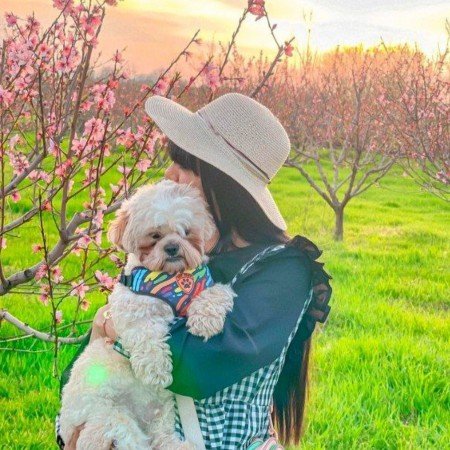  24 عکس دختر بدون چهره خارجی