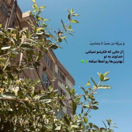  214 عکس دختر واقعی