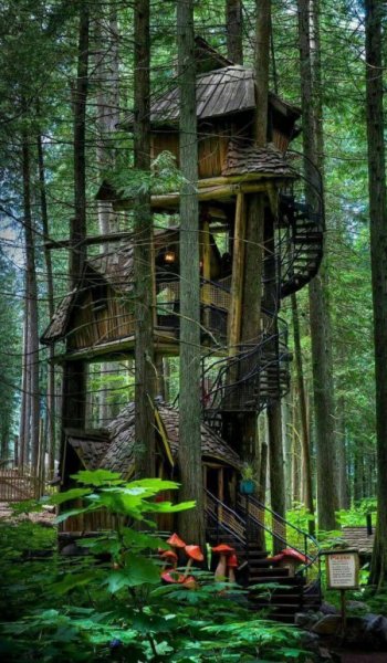  عکس دلار زیاد برای پروفایل