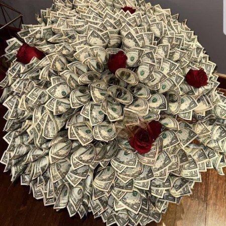  عکس دلار خفن