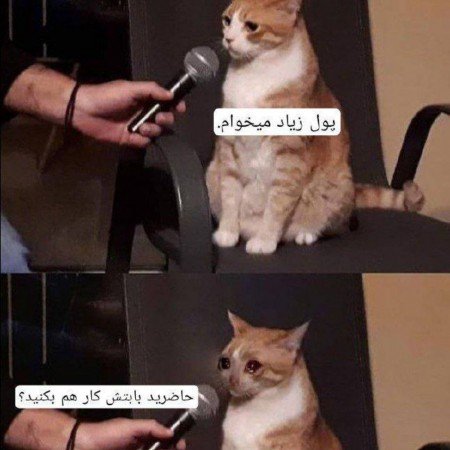  عکس دلار خفن