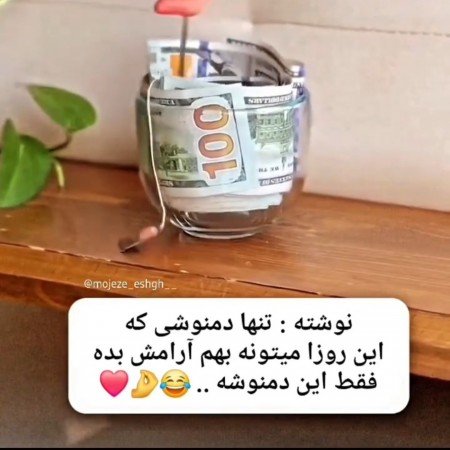  عکس دلار خفن