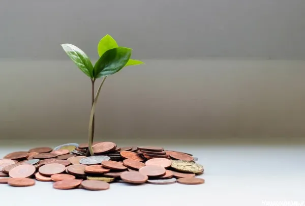 75 عکس پول و ثروت زیاد