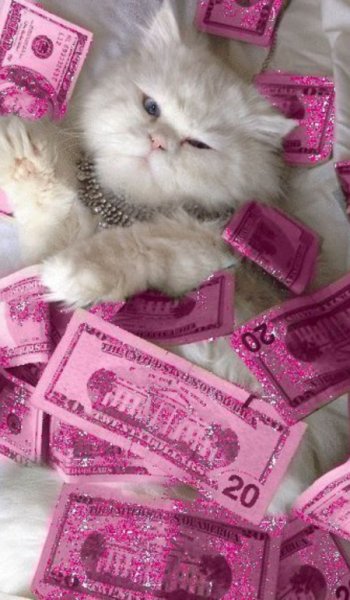  عکس پروفایل ثروت