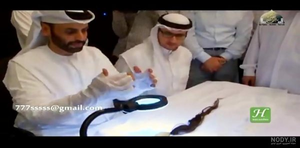  عکس محمد رسول الله واقعی