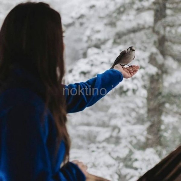  100 عکس پروفایل دخترونه