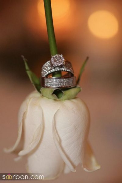  58 عکس حلقه ازدواج برای پروفایل