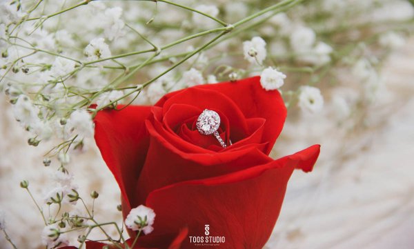 عکس حلقه نامزدی طبیعی