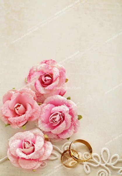  عکس حلقه و گل نامزدی