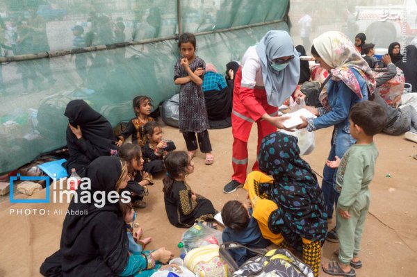 عکس افغانی ها