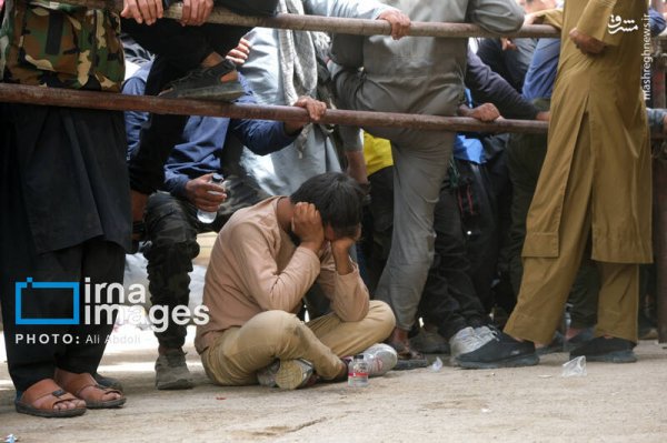  عکس افغانی ها