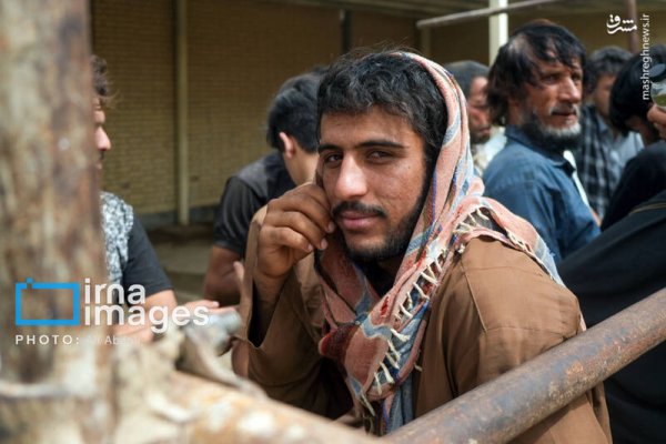  عکس افغانی ها