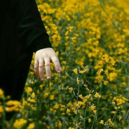  160 عکس دختر با حجاب عروسکی