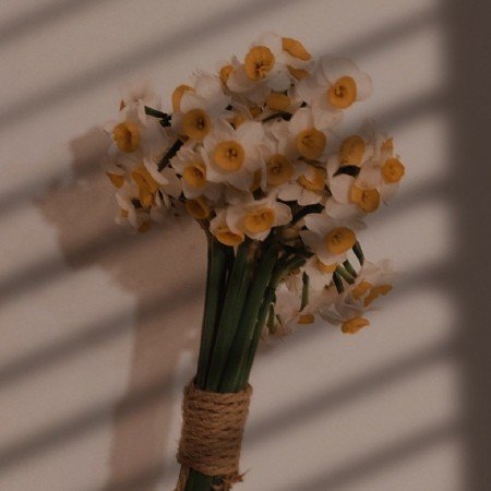  عکس دختر با حجاب عروسکی