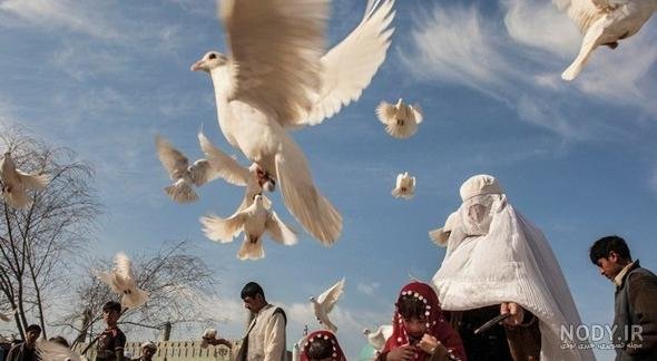  عکس دختر افغانی ساده 17 ساله