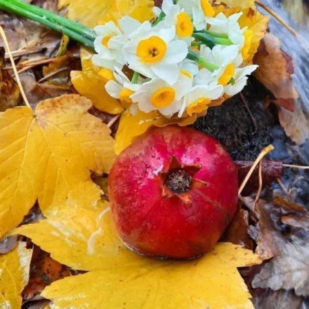  زیباترین عکس پاییزی دنیا