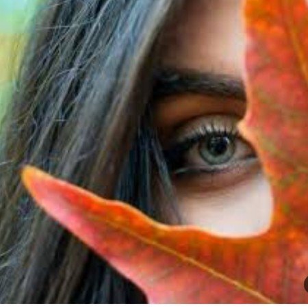  زیباترین عکس پاییزی دنیا