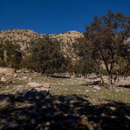  زیباترین عکس پاییزی دنیا