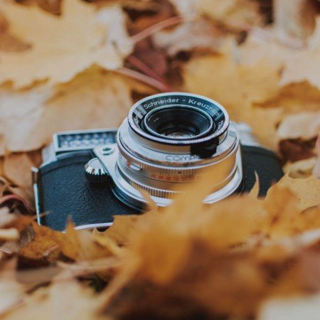  عکس پاییزی برای پروفایل