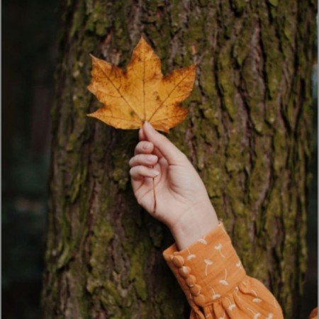  عکس پاییزی برای پروفایل