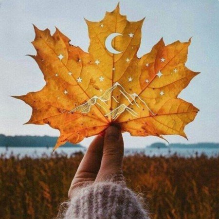  عکس پاییزی برای پروفایل