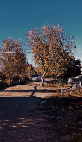  عکس پاییز و زمستان