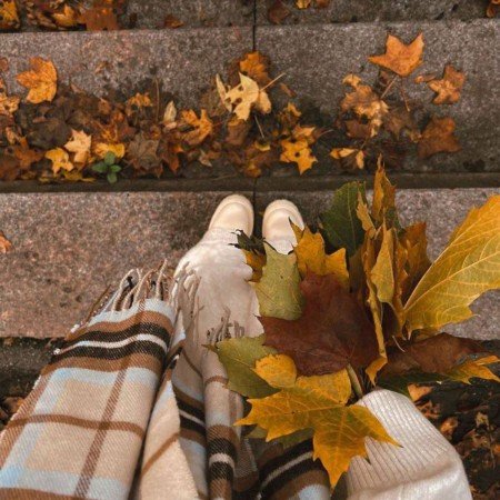  عکس پاییز و زمستان