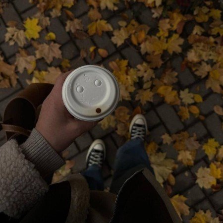  عکس پاییز طبیعی