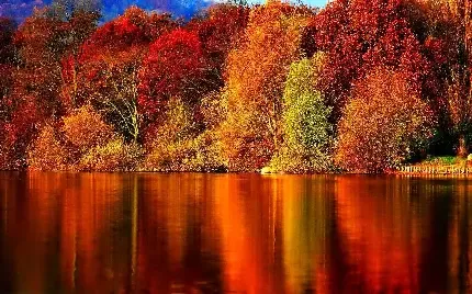  عکس پاییز برای تصویر زمینه