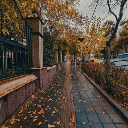  عکس پاییز برای تصویر زمینه