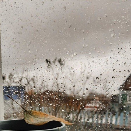  عکس پاییز برای پرو فایل