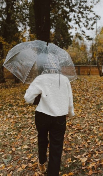  عکس پاییز برای پرو فایل