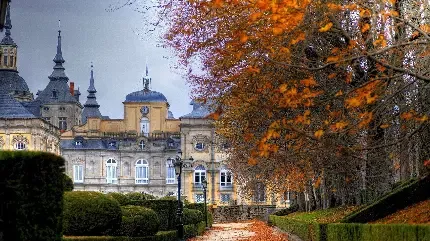  عکس پاییز برای پرو فایل