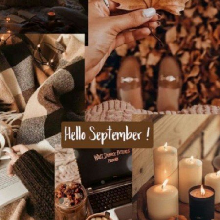  عکس پاییز برای پرو فایل