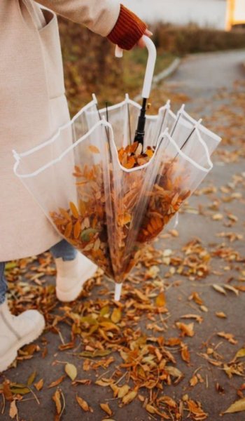  عکس پاییز برای پرو فایل