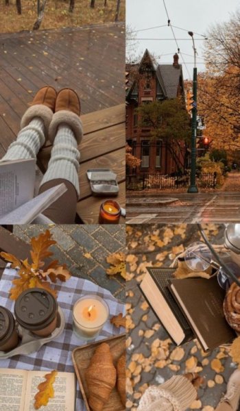  عکس پاییز برای پرو فایل