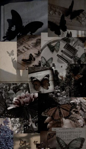  عکس پرو فایل زیباترین عکس پاییزی دنیا