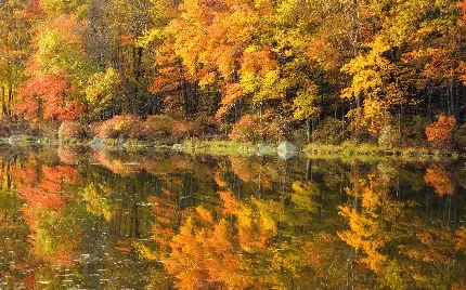  عکس پرو فایل زیباترین عکس پاییزی دنیا