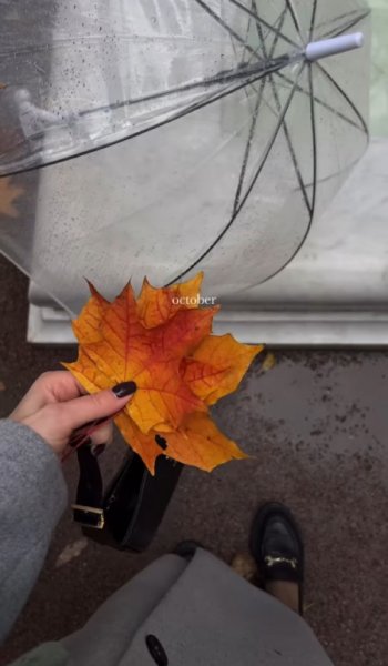  عکس پرو فایل زیباترین عکس پاییزی دنیا