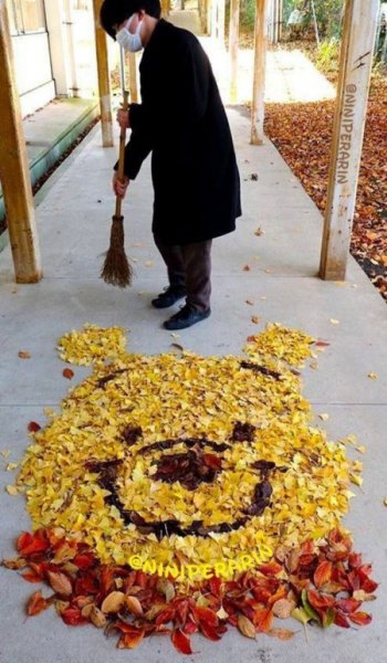  عکس برگ پاییزی برای پروفایل