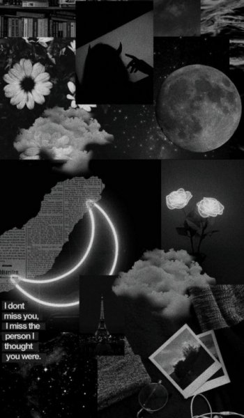  عکس برگ پاییزی برای پروفایل