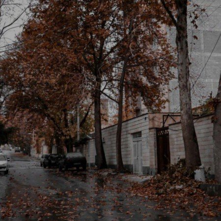  عکس برگ پاییزی برای پروفایل