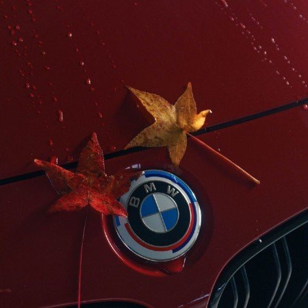  عکس برگ پاییزی برای پروفایل