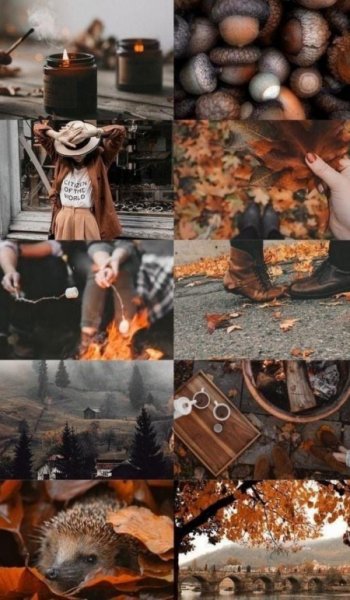  عکس پرو فایل پاییز واقعی