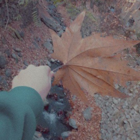  عکس پرو فایل پاییز واقعی