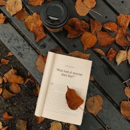  عکس پرو فایل پاییز واقعی