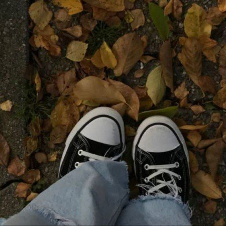  عکس پرو فایل پاییز واقعی