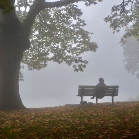  عکس پرو فایل پاییز واقعی